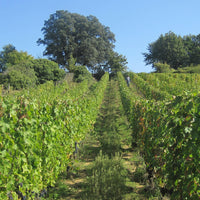 Clos du Chêne Vert 2012 - Charles Joguet